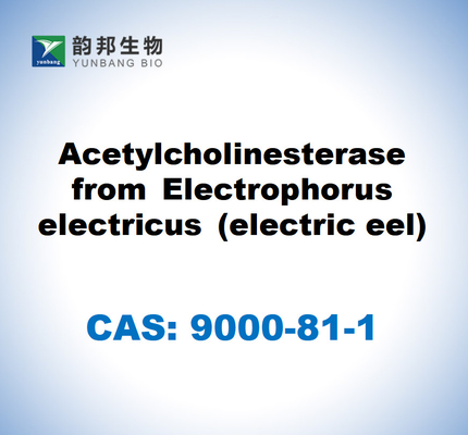CAS 9000-81-1 At serumundan gelen butirilkolinesteraz