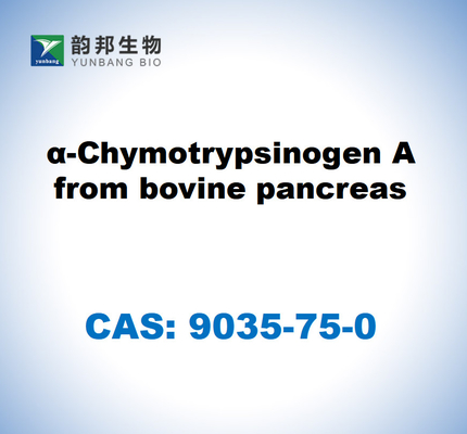 CAS 9035-75-0 Sığır pankreasından α-kimotripsinogen A