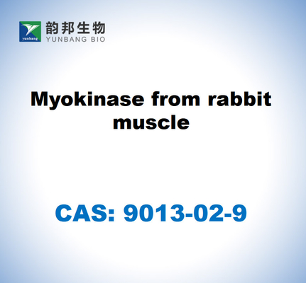 CAS 9013-02-9 Tavşan kasından miyokinaz