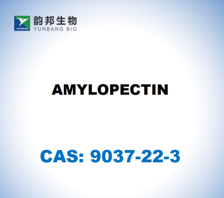 CAS 9037-22-3 AMİLOPEKTİN