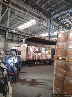 CAS 57-83-0 Progesteron biyokimyasal reagansı sunumları