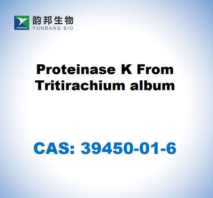 CAS 39450-01-6 Tritirachium albümünden proteinase K